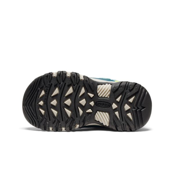 Little Kids' Targhee IV Waterproof Hiking Shoe | Reef Waters/Daiquiri Green