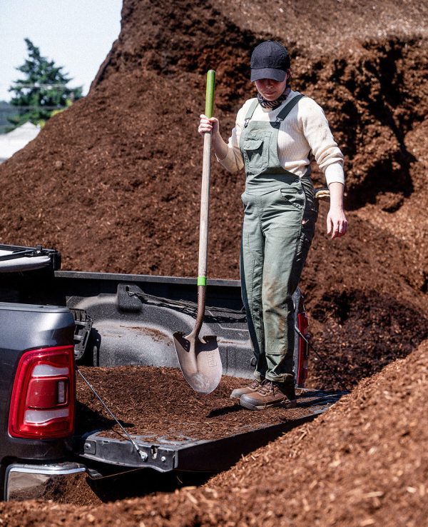 Women's Skokie Waterproof Work Boot (Carbon Toe) | Bison/Black